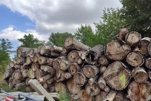Drewno na sprzedaż (photo)